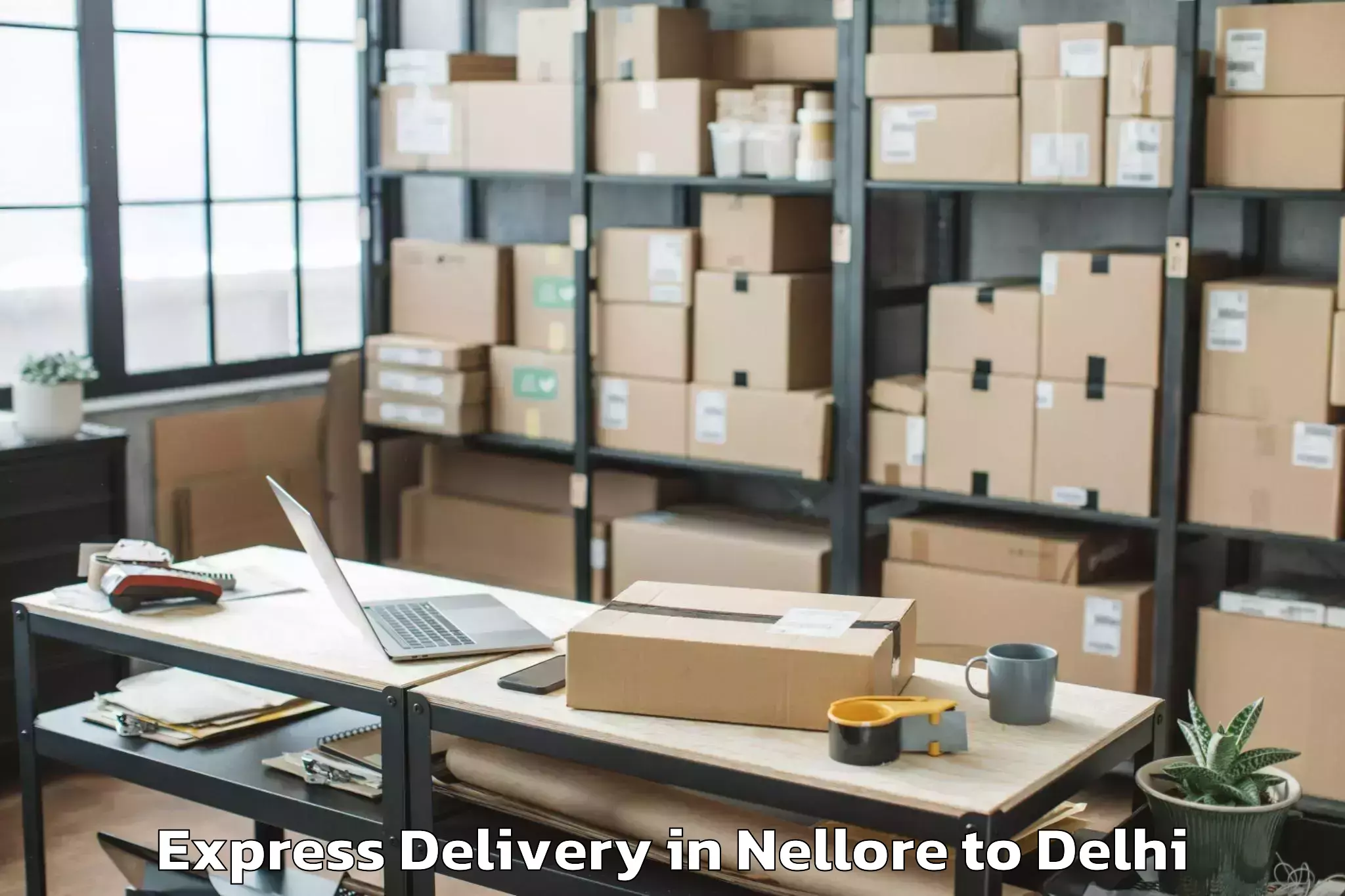 Professional Nellore to Flatted Factory Complex Okhla Express Delivery